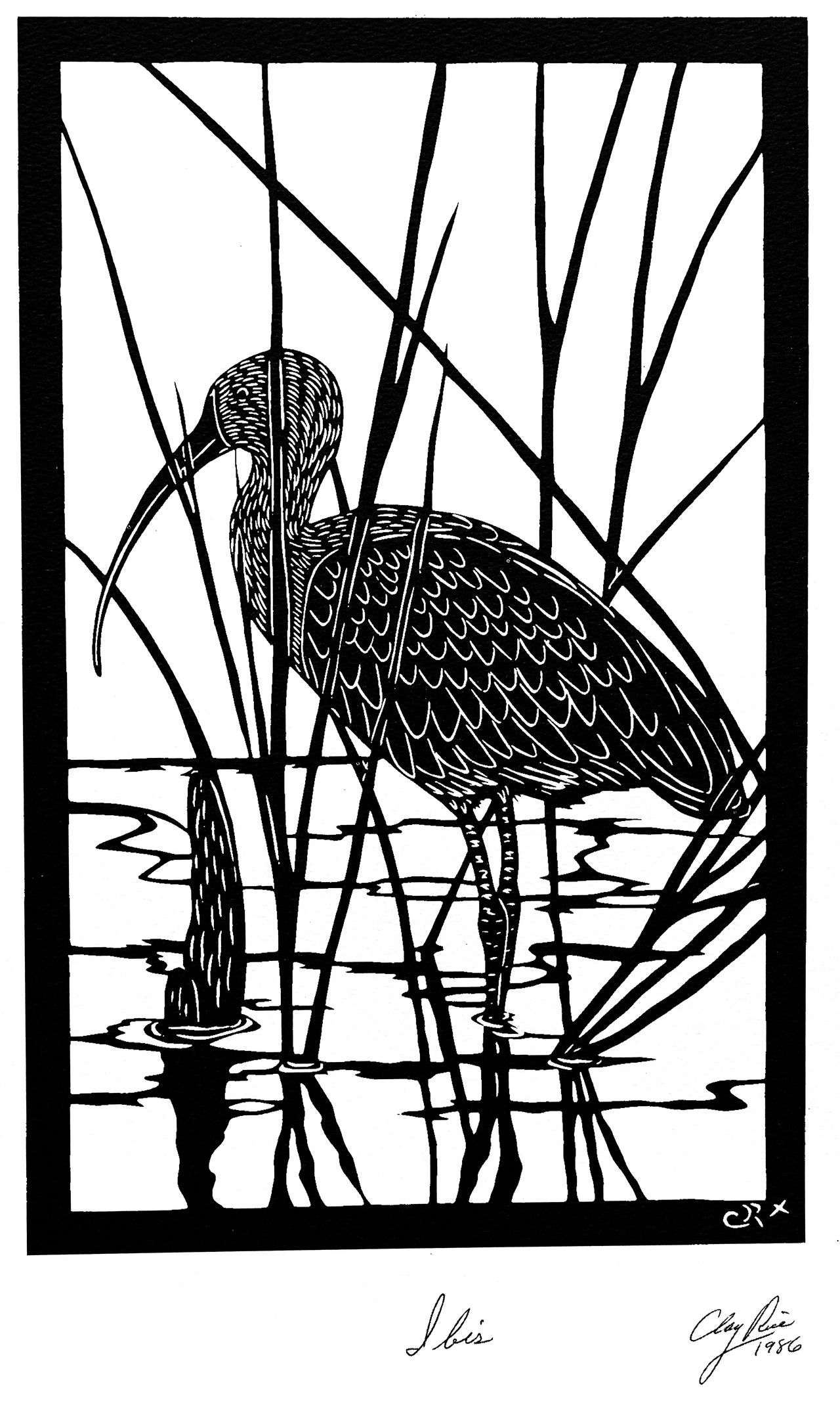 Artwork of an Ibis, a native bird in the wilderness in Charleston, SC