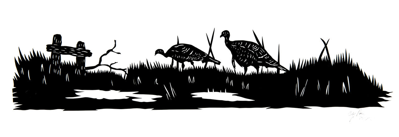 Artwork of two wild turkeys in Charleston, SC by Clay Rice