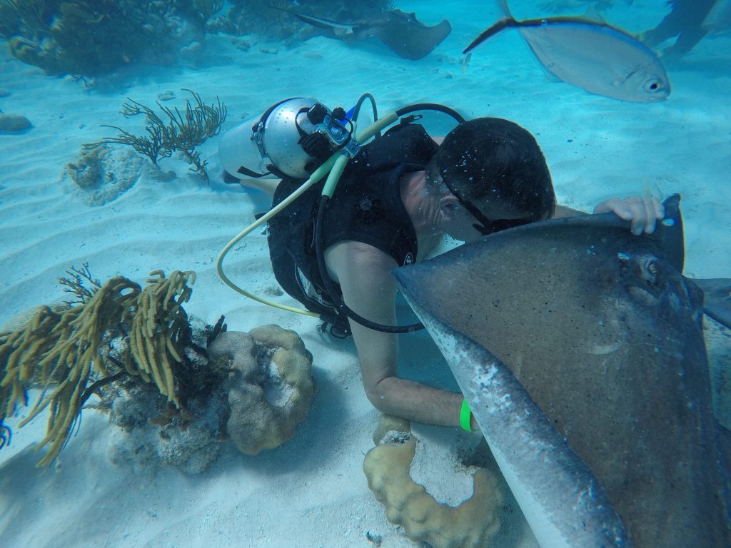 Feeding the stingrays in Grand Cayman